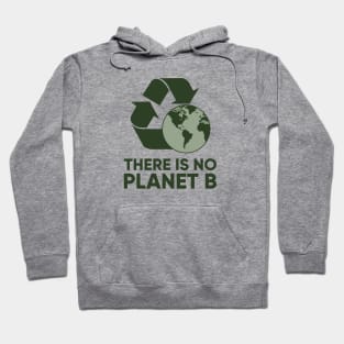 There is NO Planet B Hoodie